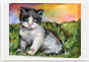 Canvas Gallery Wrap: Kitty