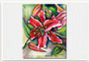 Canvas Print: Stargazer Lily